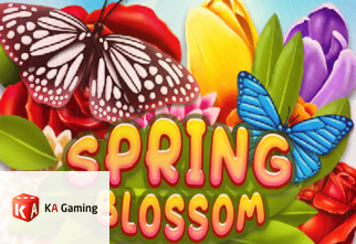 Spring Blossom